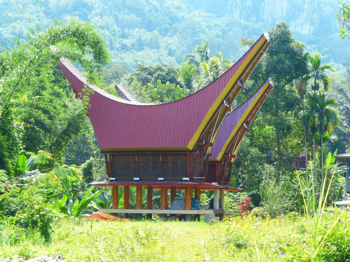 Toraja Torsina Hotel Rantepao Exterior photo